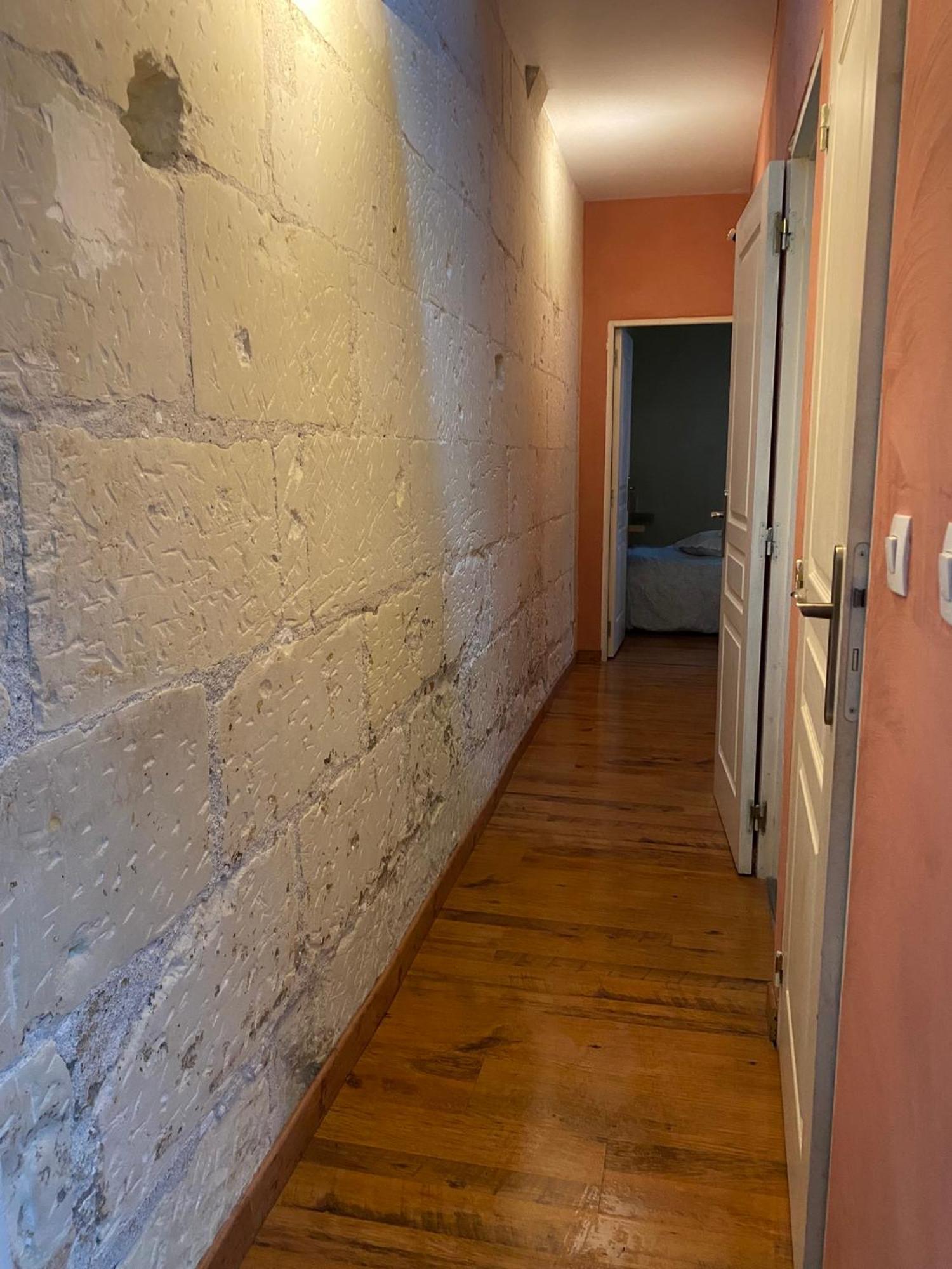 Grand Appartement Historique Rue Colbert Tours Exterior foto